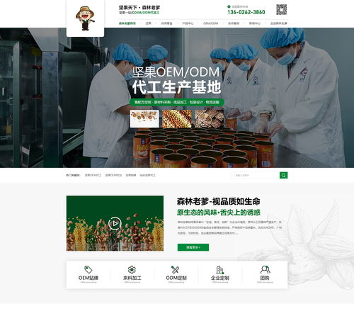 從深圳到漳州 開心果代工營銷型網站建設案例解析